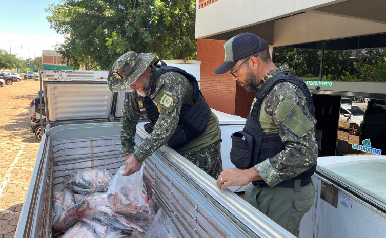 Operação Guardiões do Lago do Naturatins apreende 2,15 toneladas de pescado ilegal