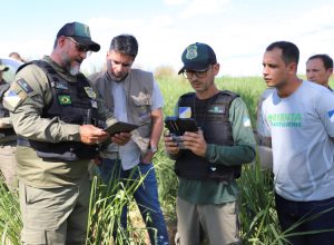 Desmatamento no Tocantins cai 43,4% em cinco meses, aponta relatório