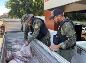 Operação Guardiões do Lago do Naturatins apreende 2,15 toneladas de pescado ilegal